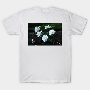 Coloma Garden White roses T-Shirt